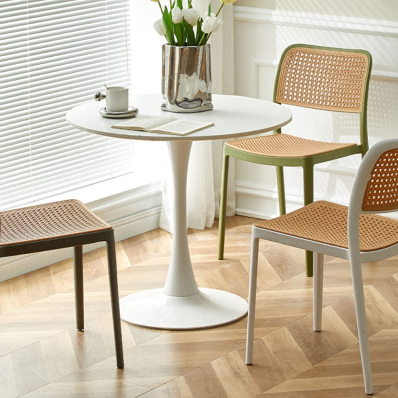 Ann Rattan Style Dining Chair, Plastic-Weilai Concept-Weilai Concept