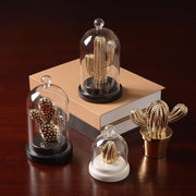Decoration: A Set Of Four Cactus-Weilai Concept-Weilai Concept